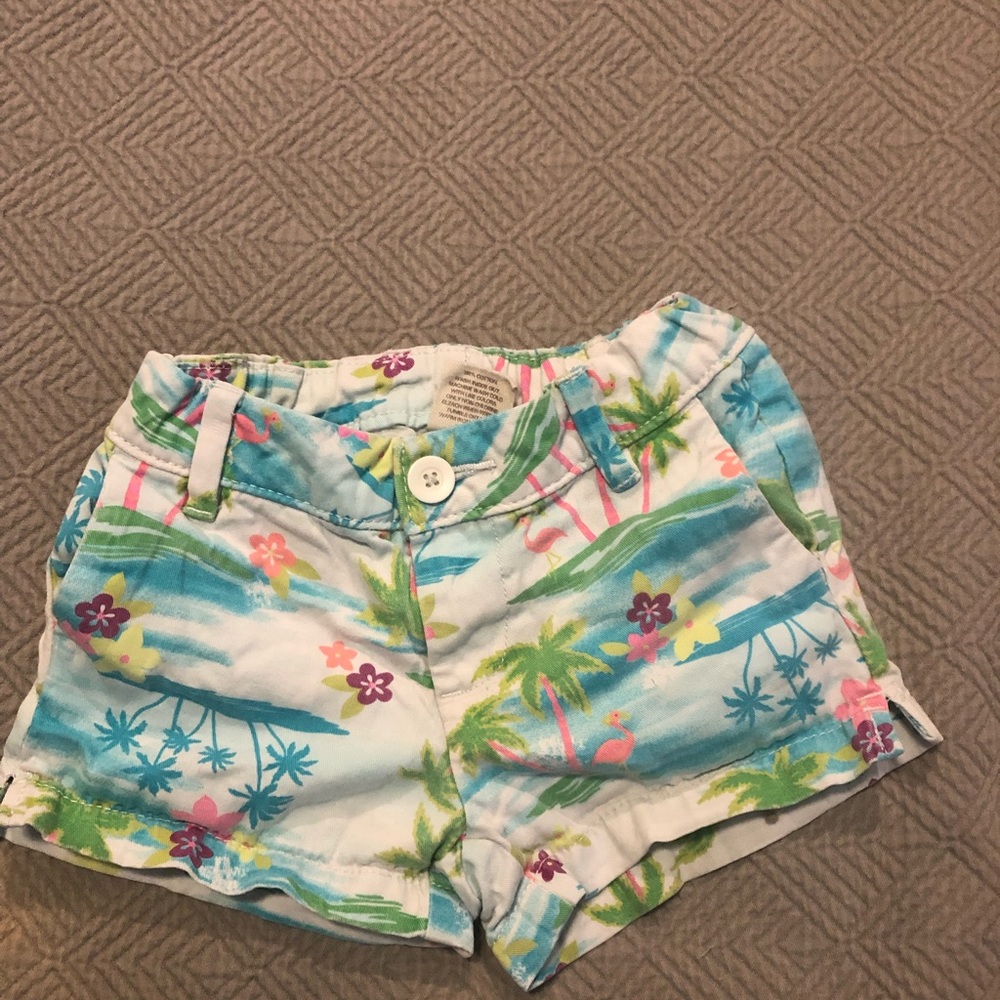 Girls size 6 Sonoma Adorable Flamingo Beach Shorts
